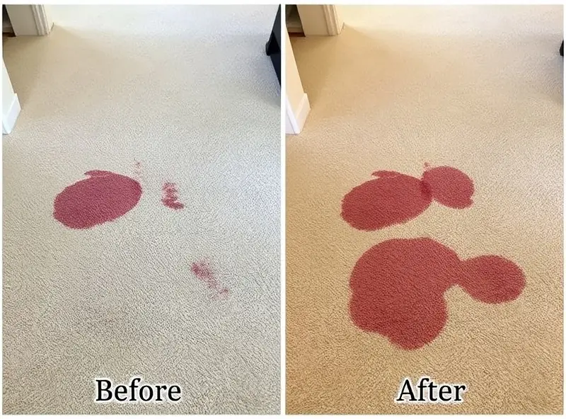 Dining room carpet cleaning before and after